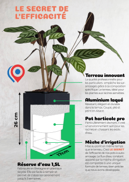 Cocagne 91540450 Mode d'emploi